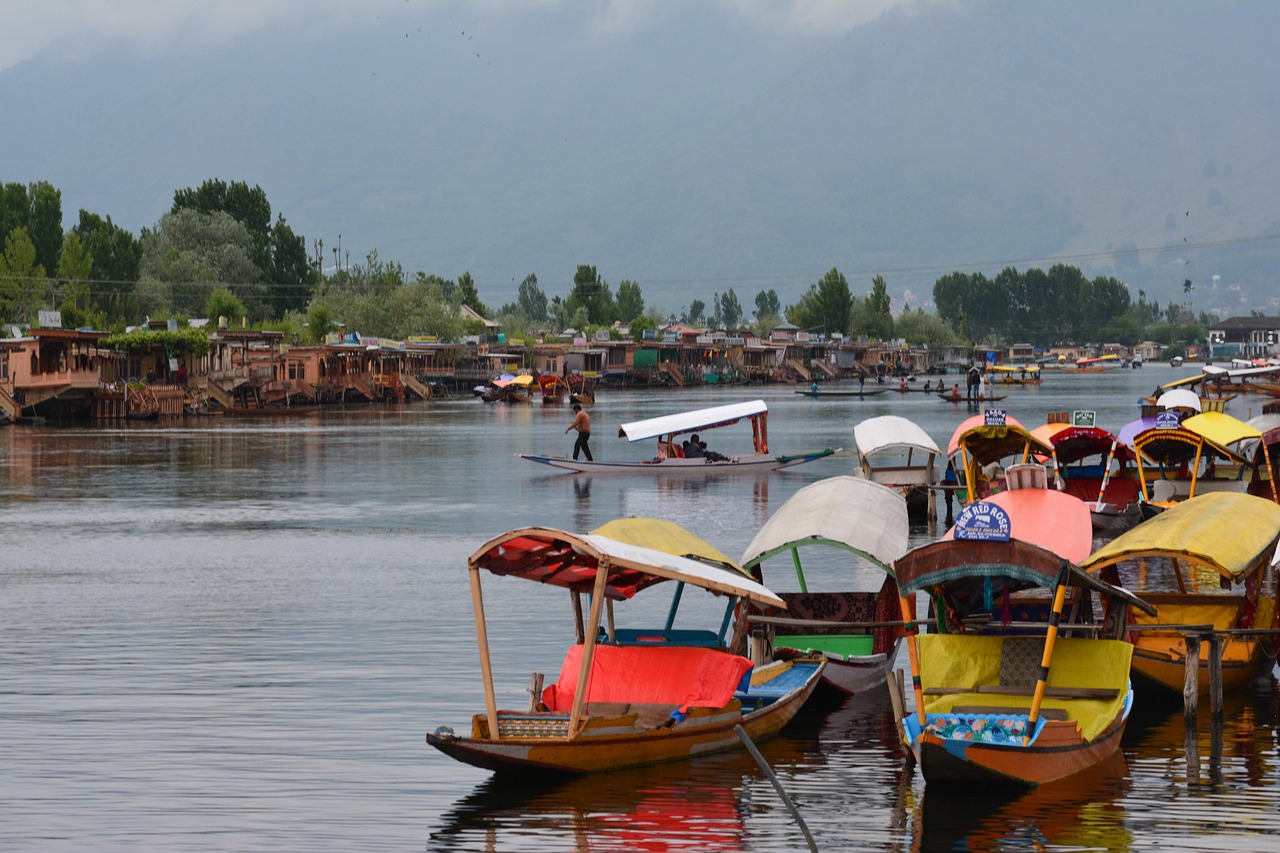 A view across the city of Srinagar in the Kashmir valley