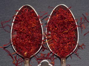 Purple saffron crocus flowers, the source of Kashmiri saffron