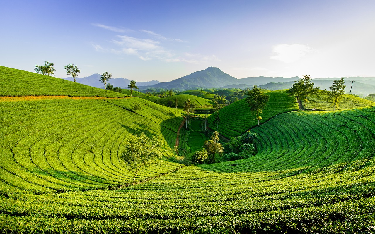 Hills of eastern Nepal