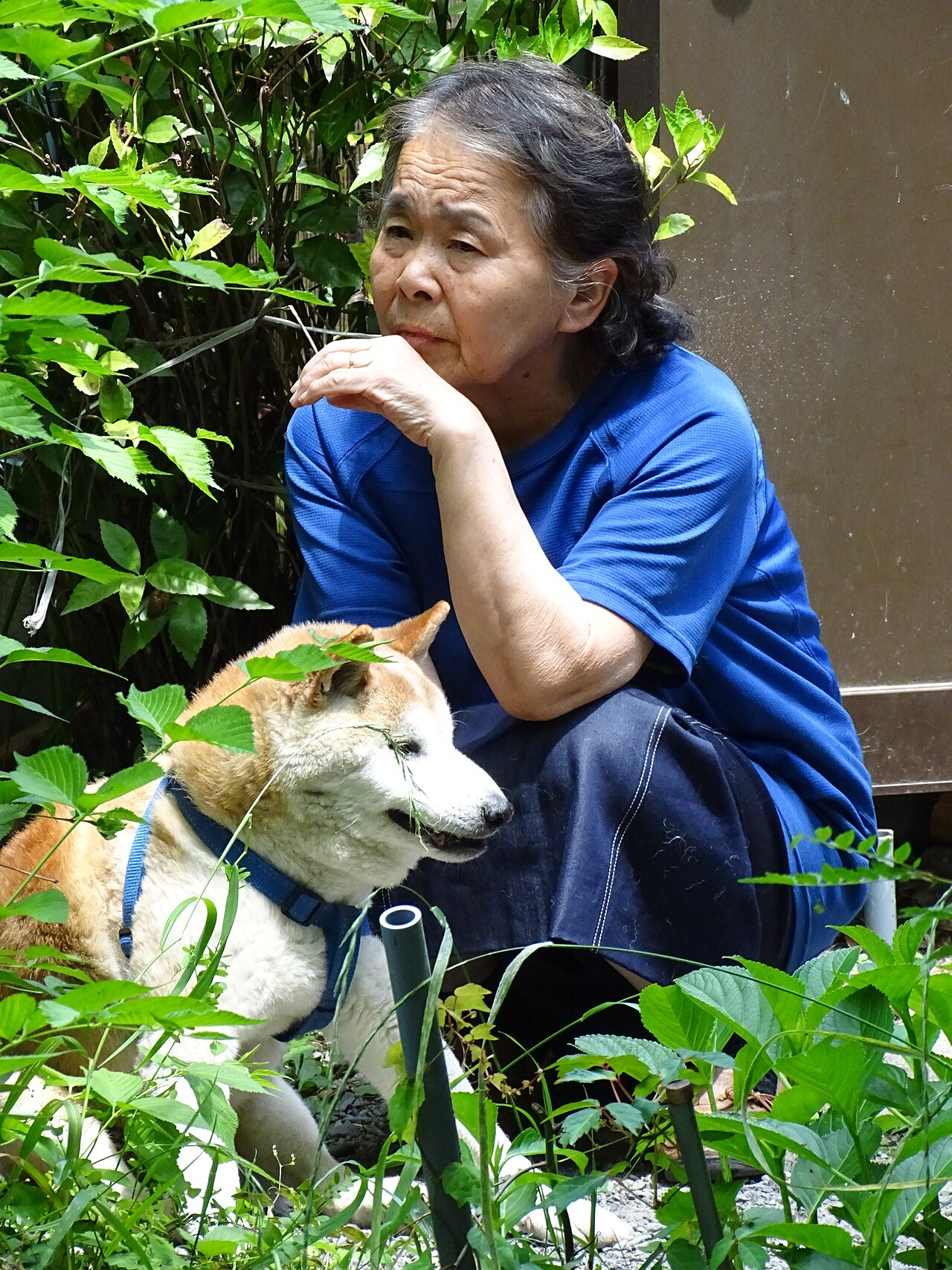 An elderly woman walking with her dog