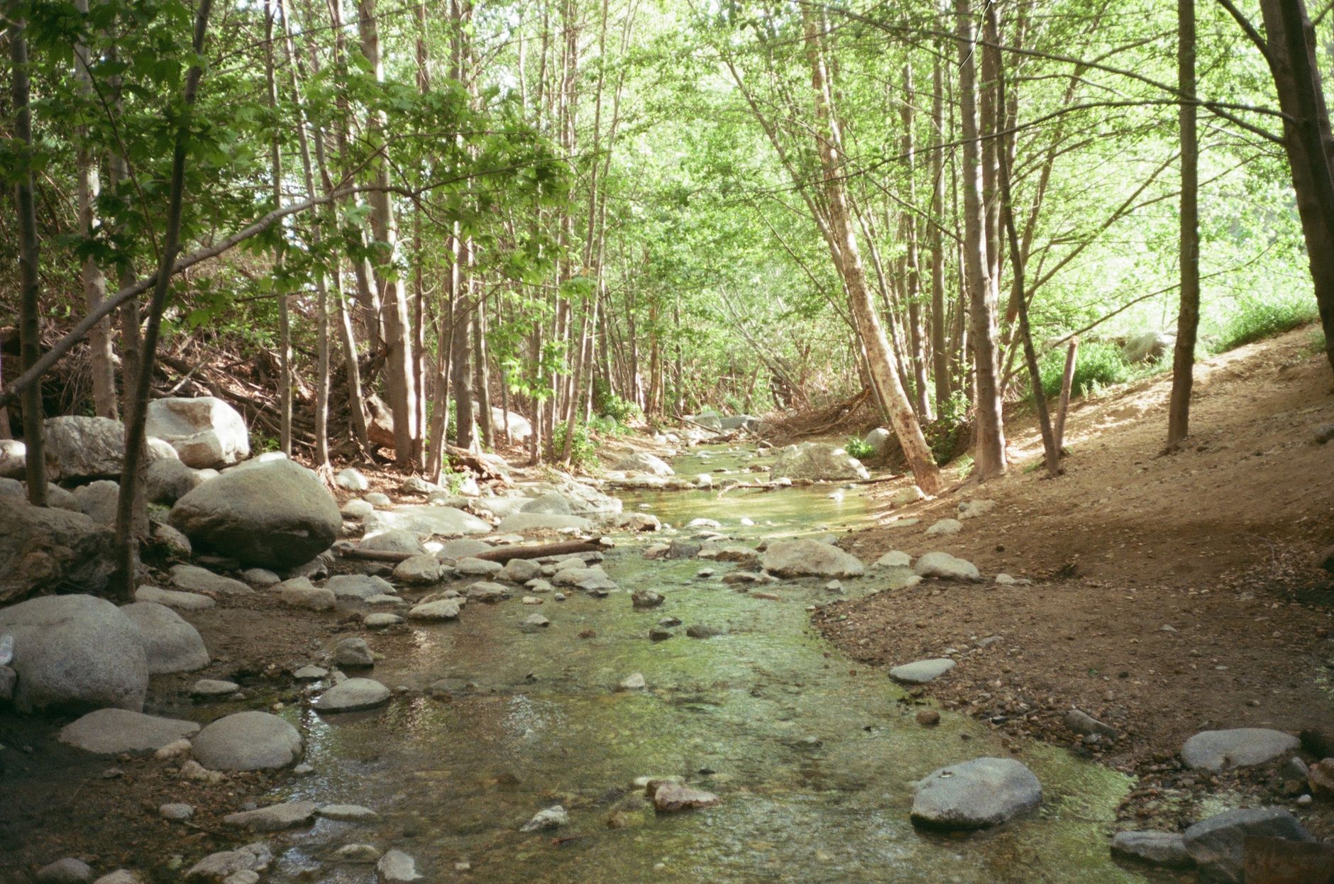 Maden Creek Pictures