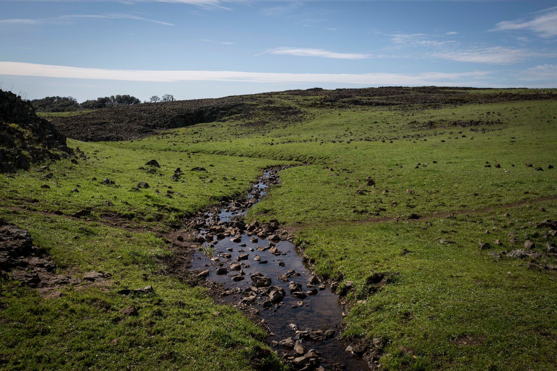 Maden Creek Pictures