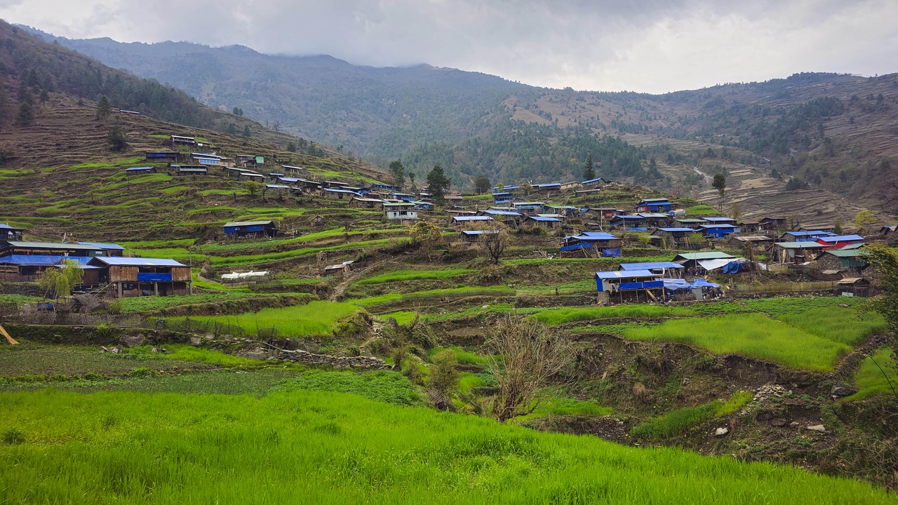 Terraced fields of the Nepali hills