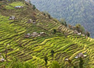Hill landscape in midwestern Nepal