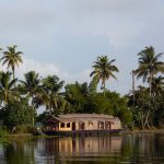 The palm-fringed backwaters of Kerala, a network of lagoons and canals