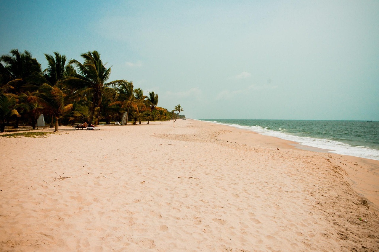 A palm-lined tropical beach on the Kerala coast