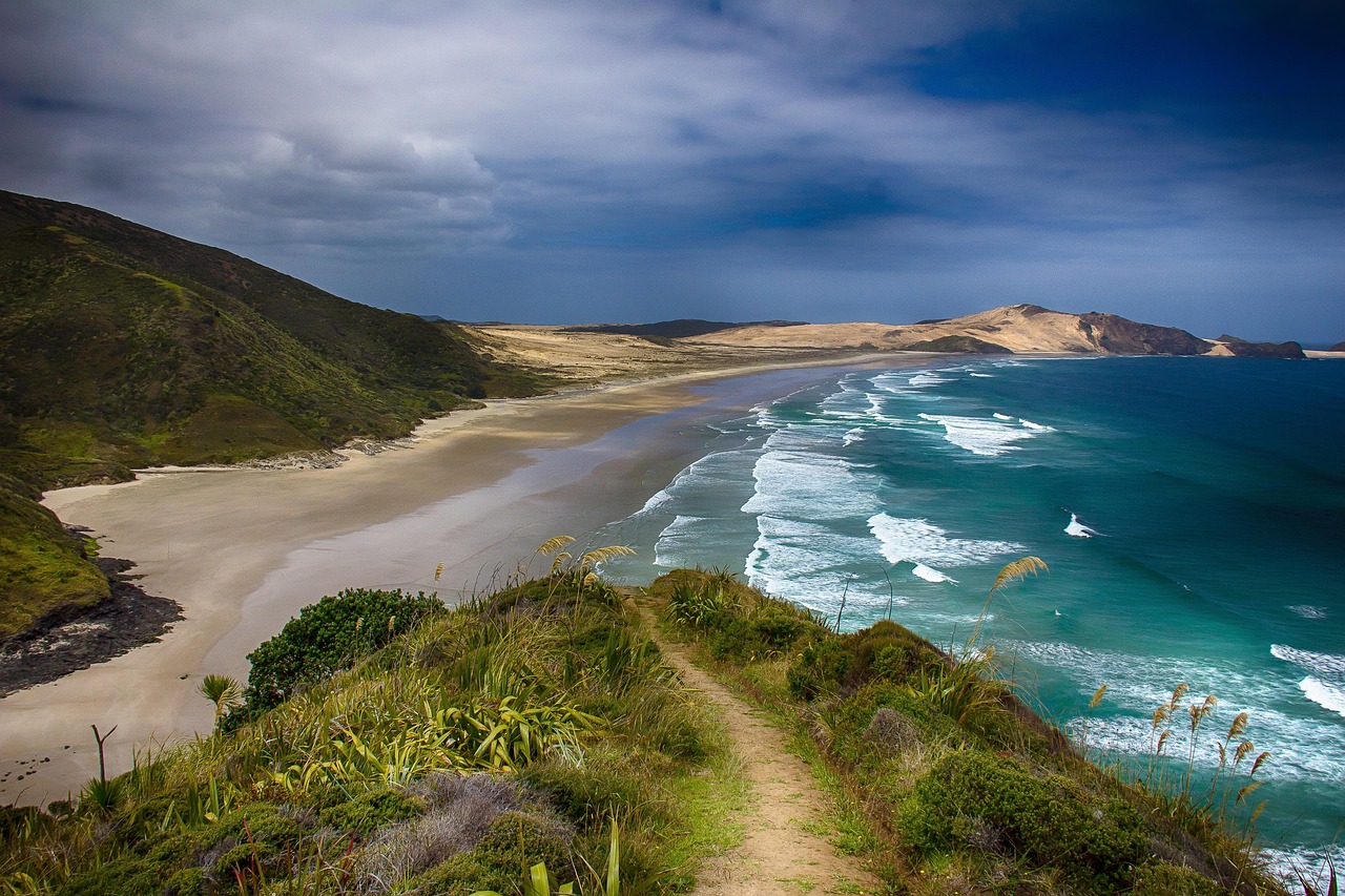 The New Zealand coast, where Polynesian voyagers first made landfall centuries ago