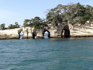 Pine-covered islands in Matsushima Bay