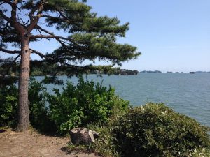 Pine islands of Matsushima