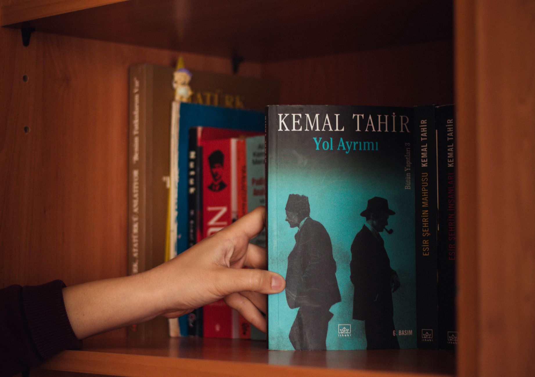 “My Study on Turkish Tamgas” in Turpan Aynası