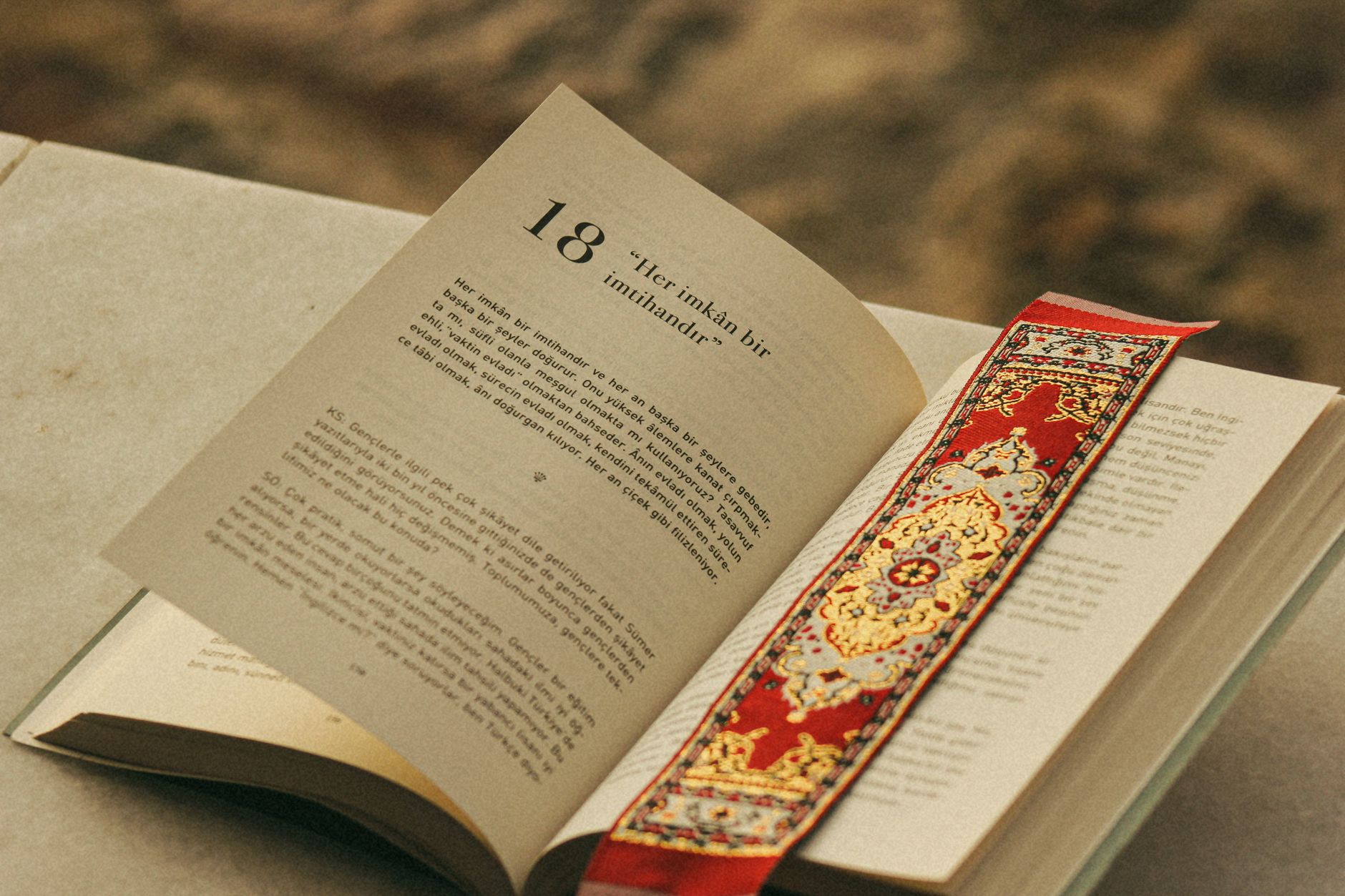 “My Study on Turkish Tamgas” in Turpan Aynası