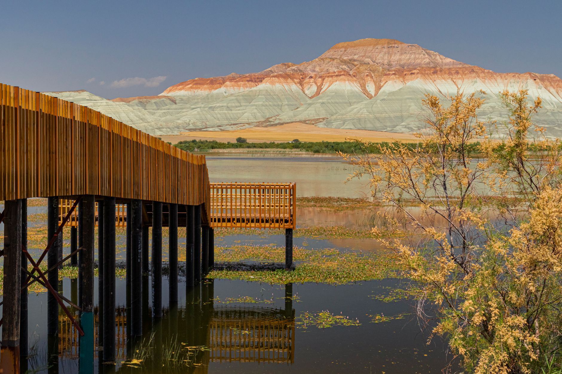 Nallıhan Bird Sanctuary Travel Guide