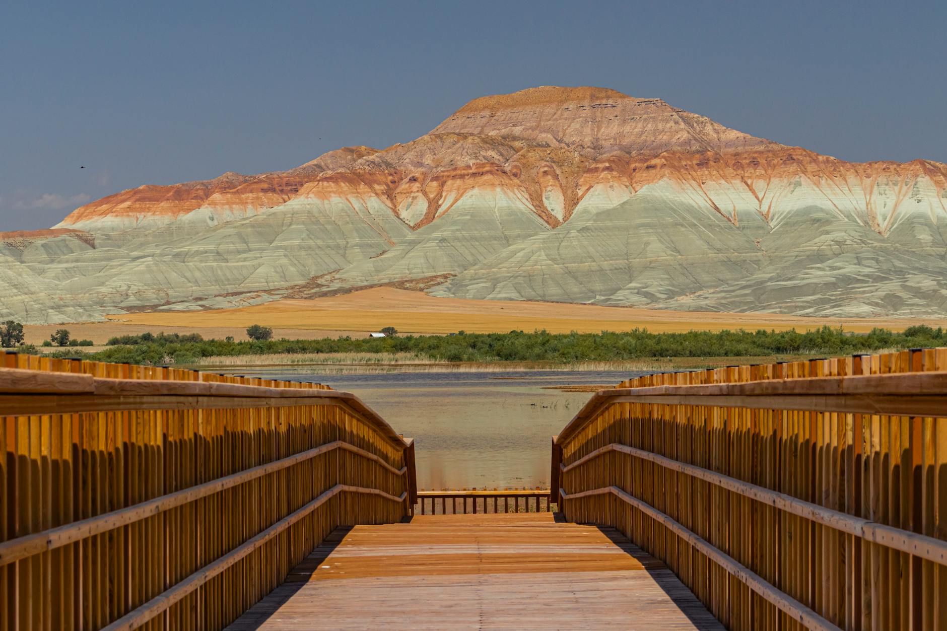 Nallıhan Bird Sanctuary Travel Guide