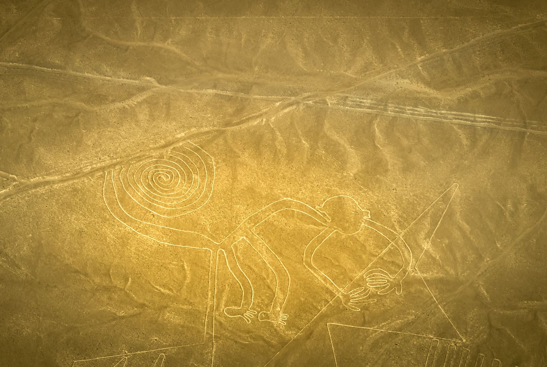 “NASA Helps Investigate Mysterious Geoglyphs in Kazakhstan” News