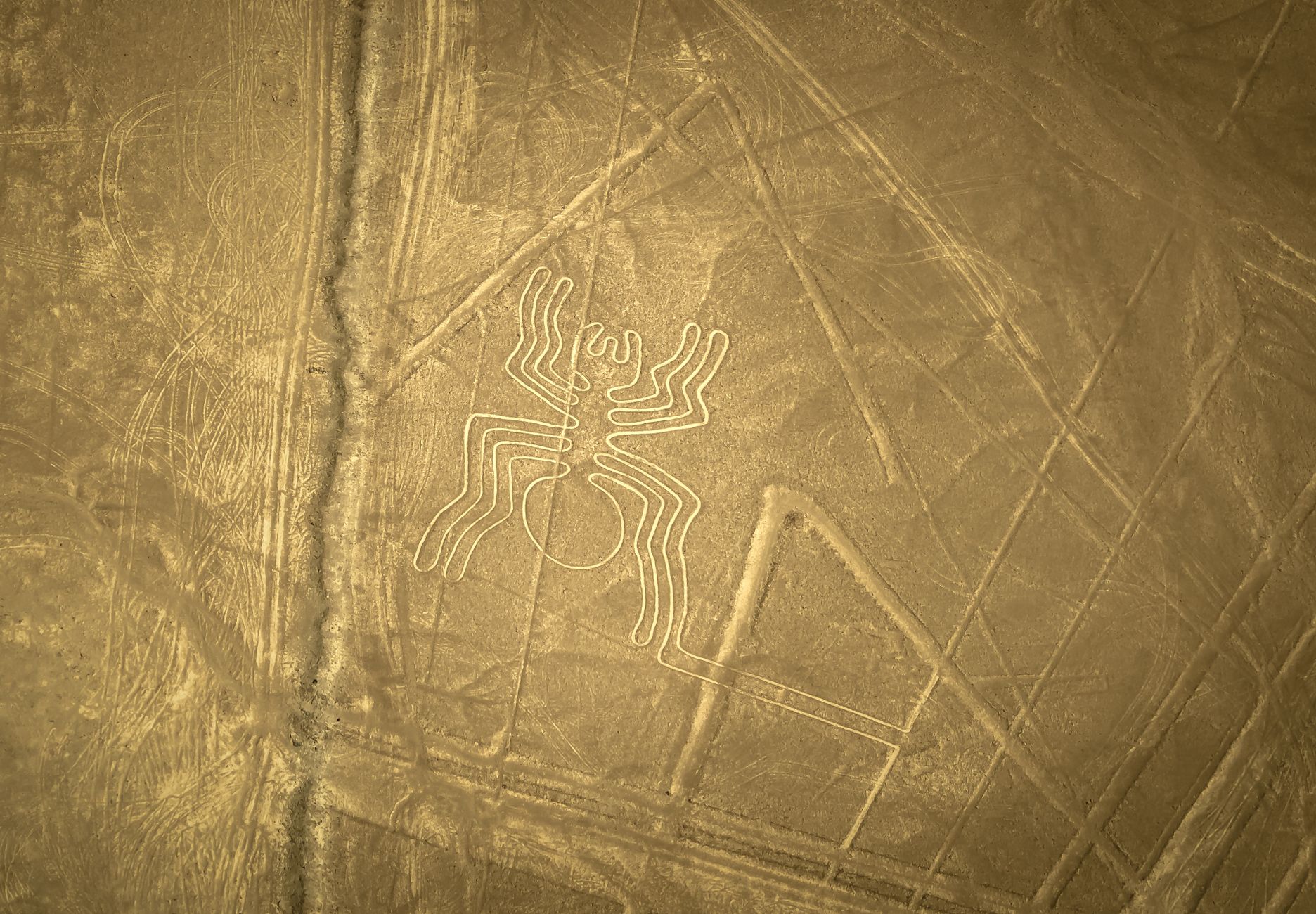 “NASA Helps Investigate Mysterious Geoglyphs in Kazakhstan” News