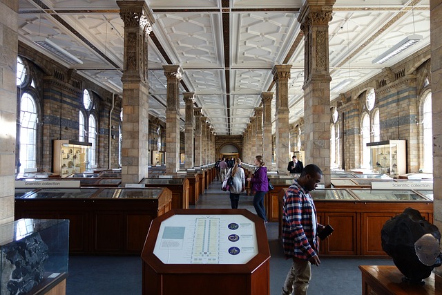 Inside the Natural History Museum