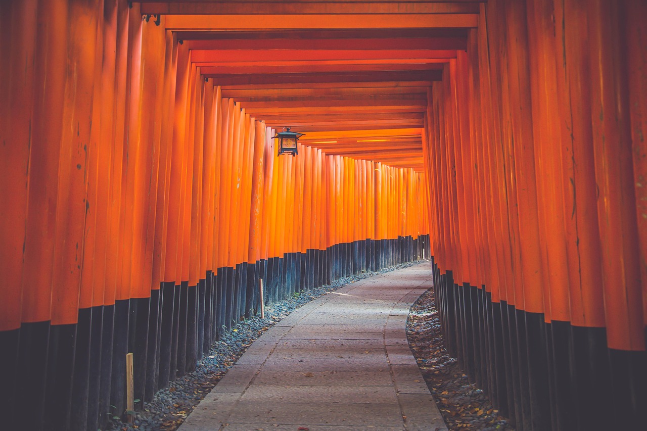 A tunnel of red torii gates