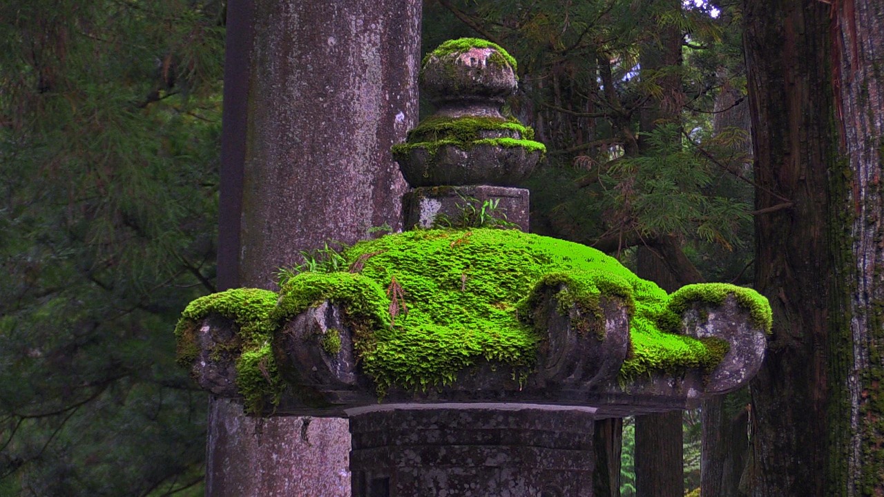 Nikko temple lanterns