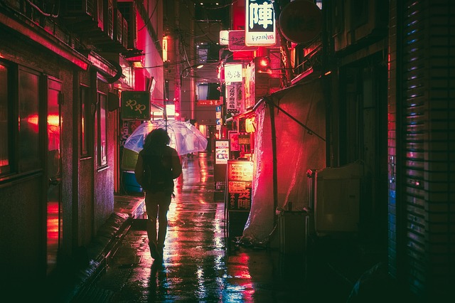 Food stalls in a Japanese market