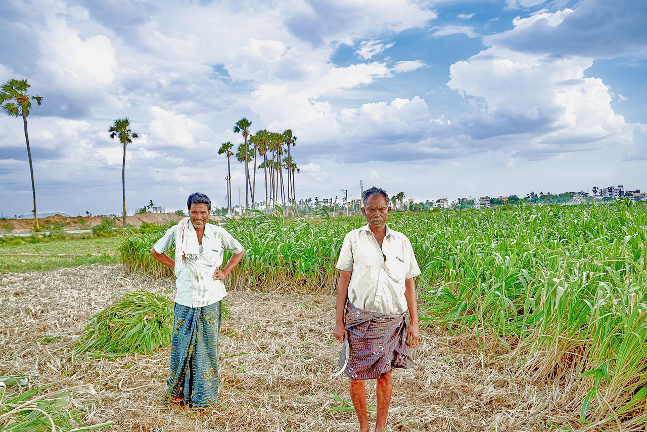 The rural landscape of the North Indian plains, home to most of the people
