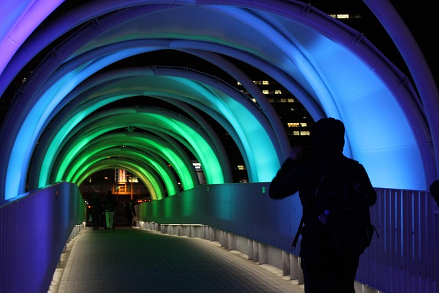Odaiba & Tokyo Bay: Best Value-for-Money Hotels