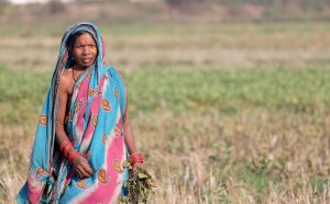 A scene from eastern India near the Bay of Bengal