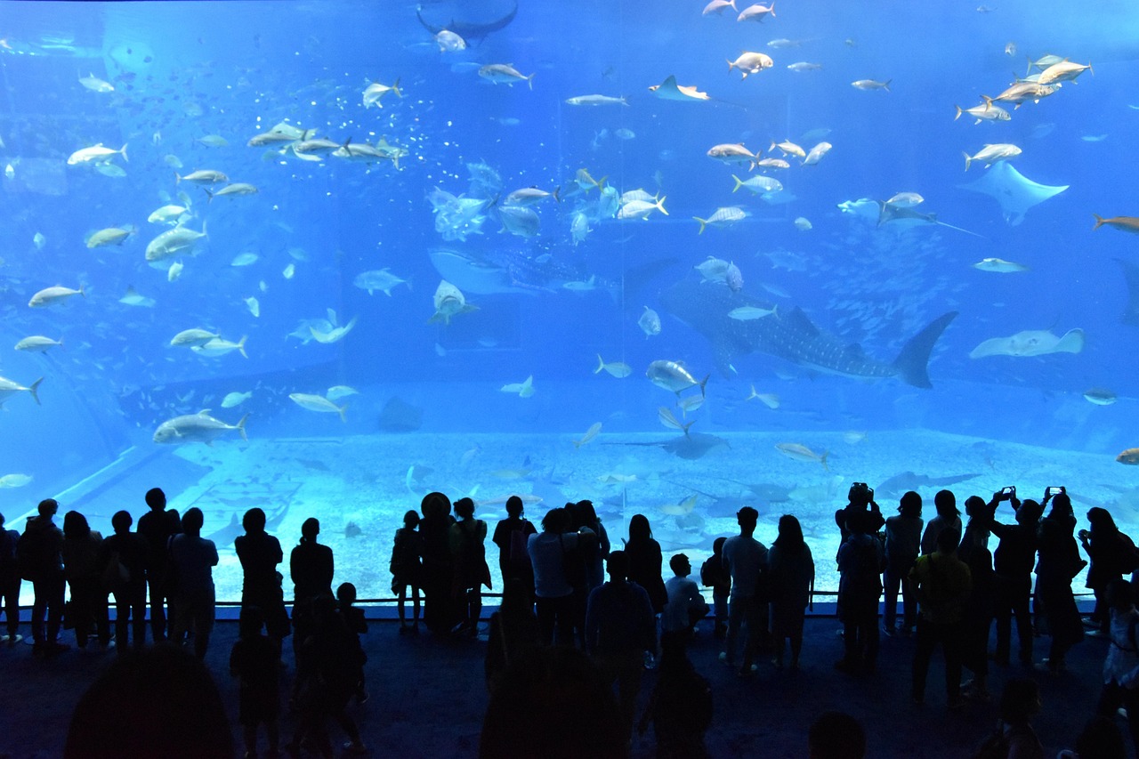 Churaumi Aquarium Okinawa