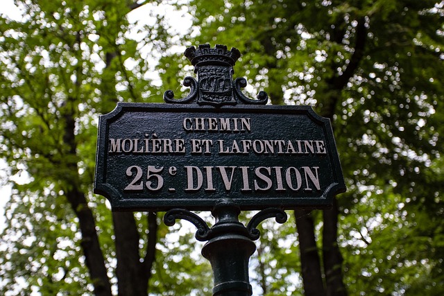 Tree-lined avenues of tombs at Pere Lachaise