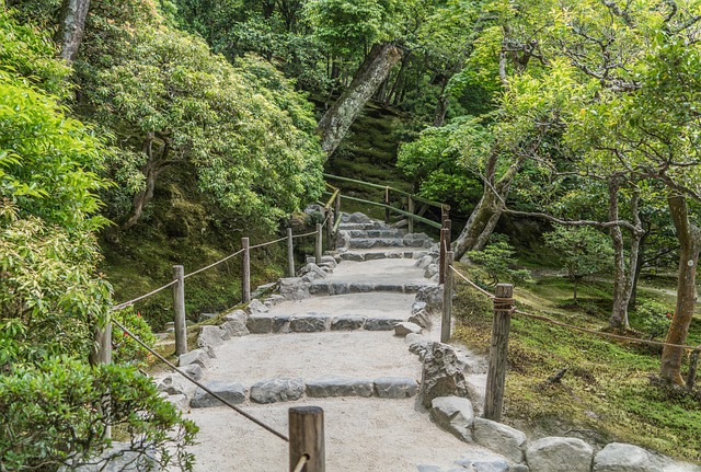 A quiet stone path in Kyoto