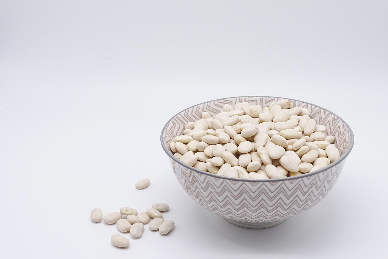 Legumes and beans, a plant protein source