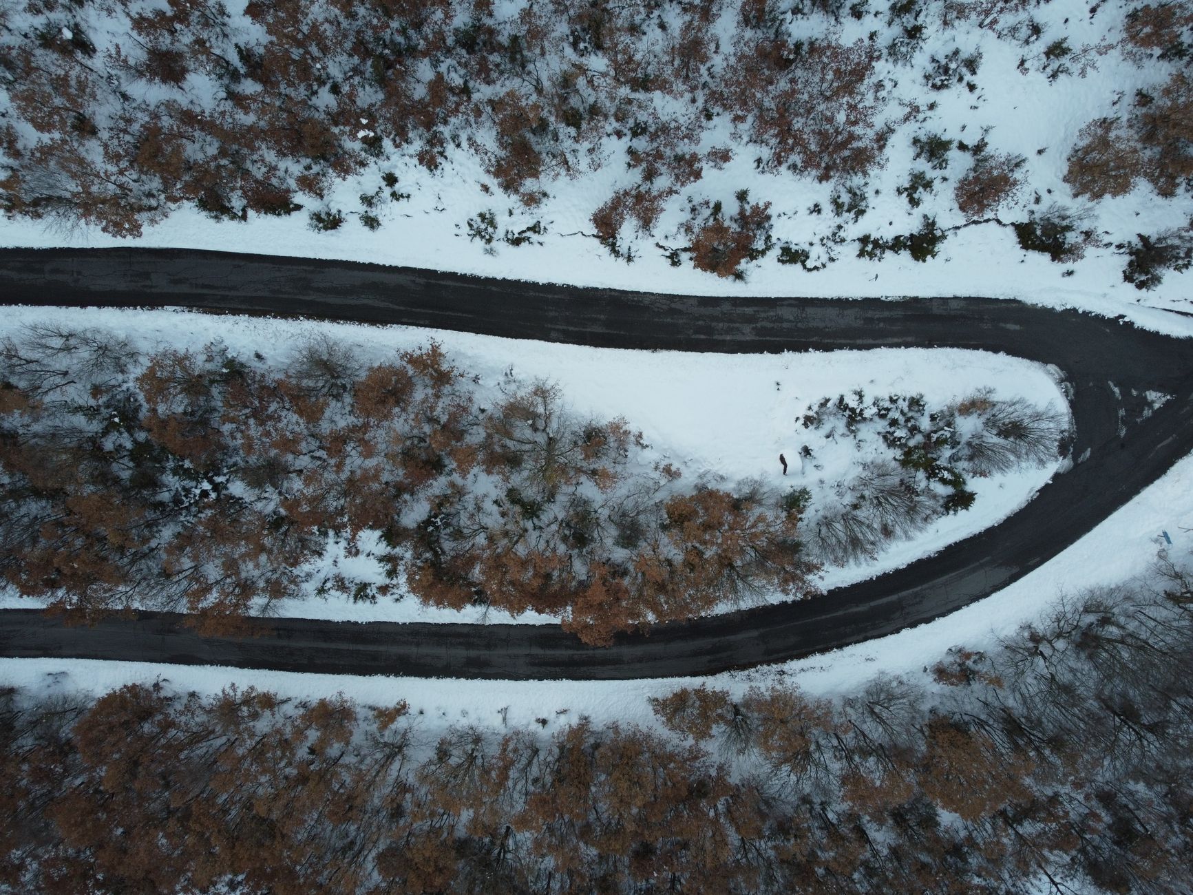 Road to the Top