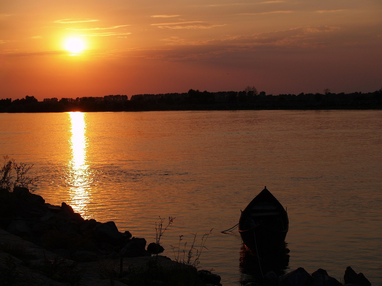 The wetlands and channels of the Danube Delta