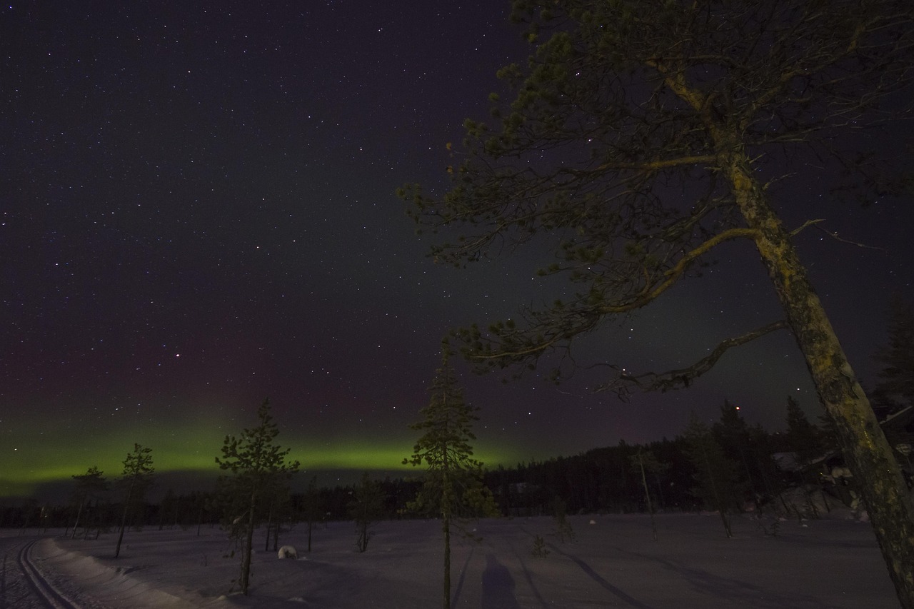 Winter landscape in Lapland where Sami communities have herded reindeer for centuries