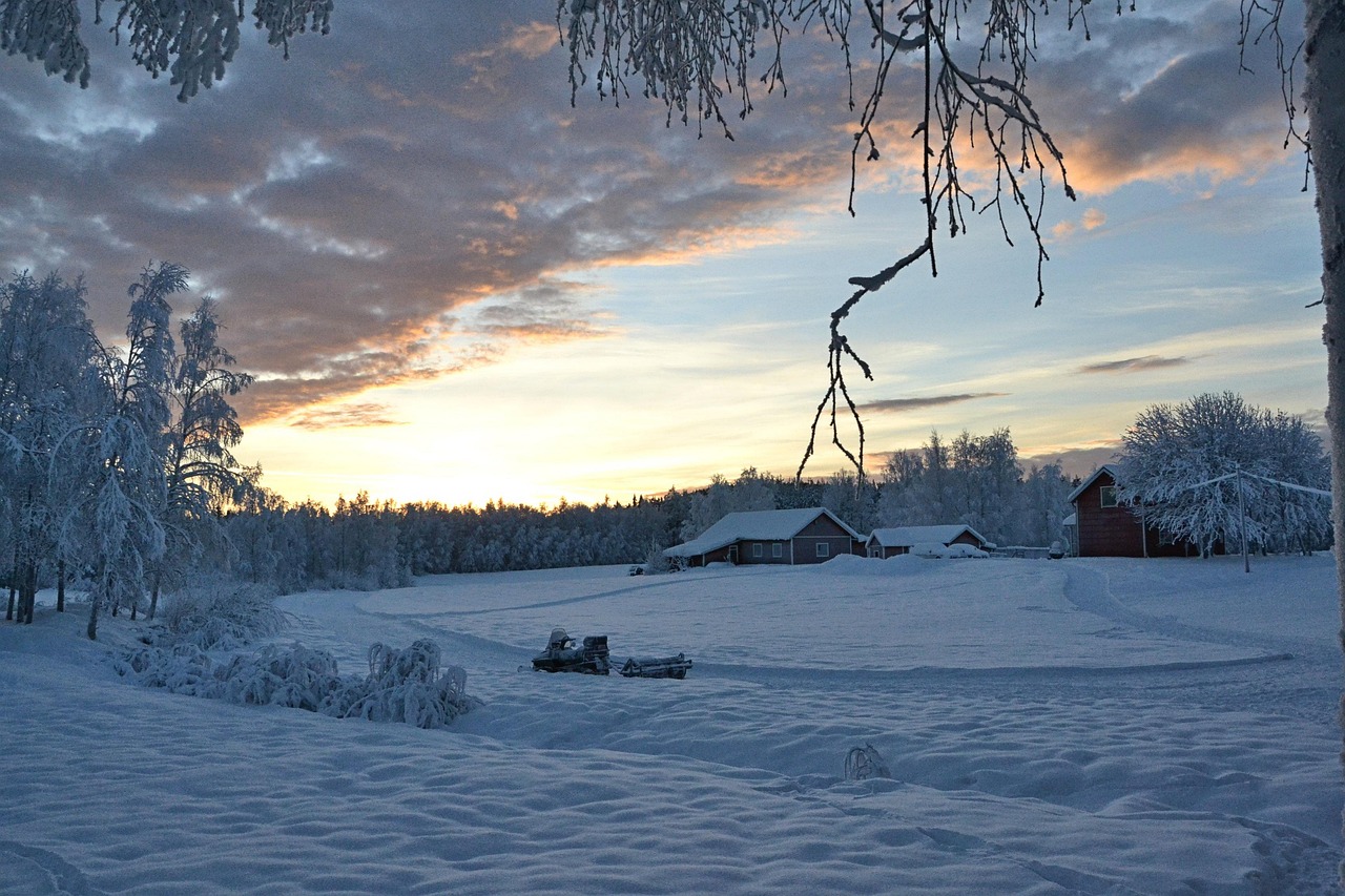 Frozen forest and tundra of Lapland, the region the Sami call Sapmi