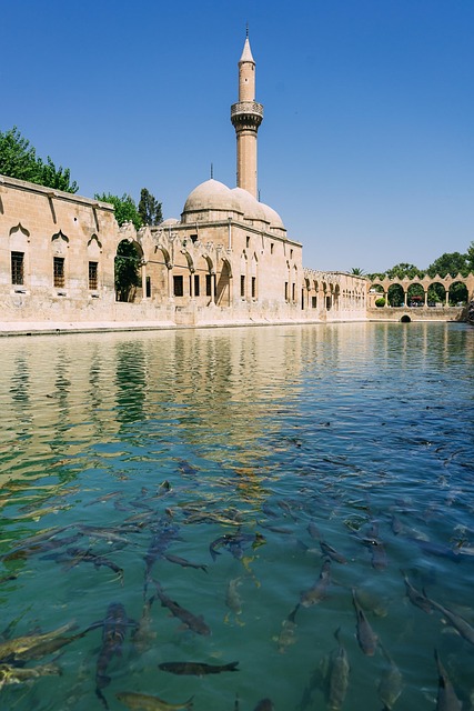 The sacred pool and mosque in Sanliurfa