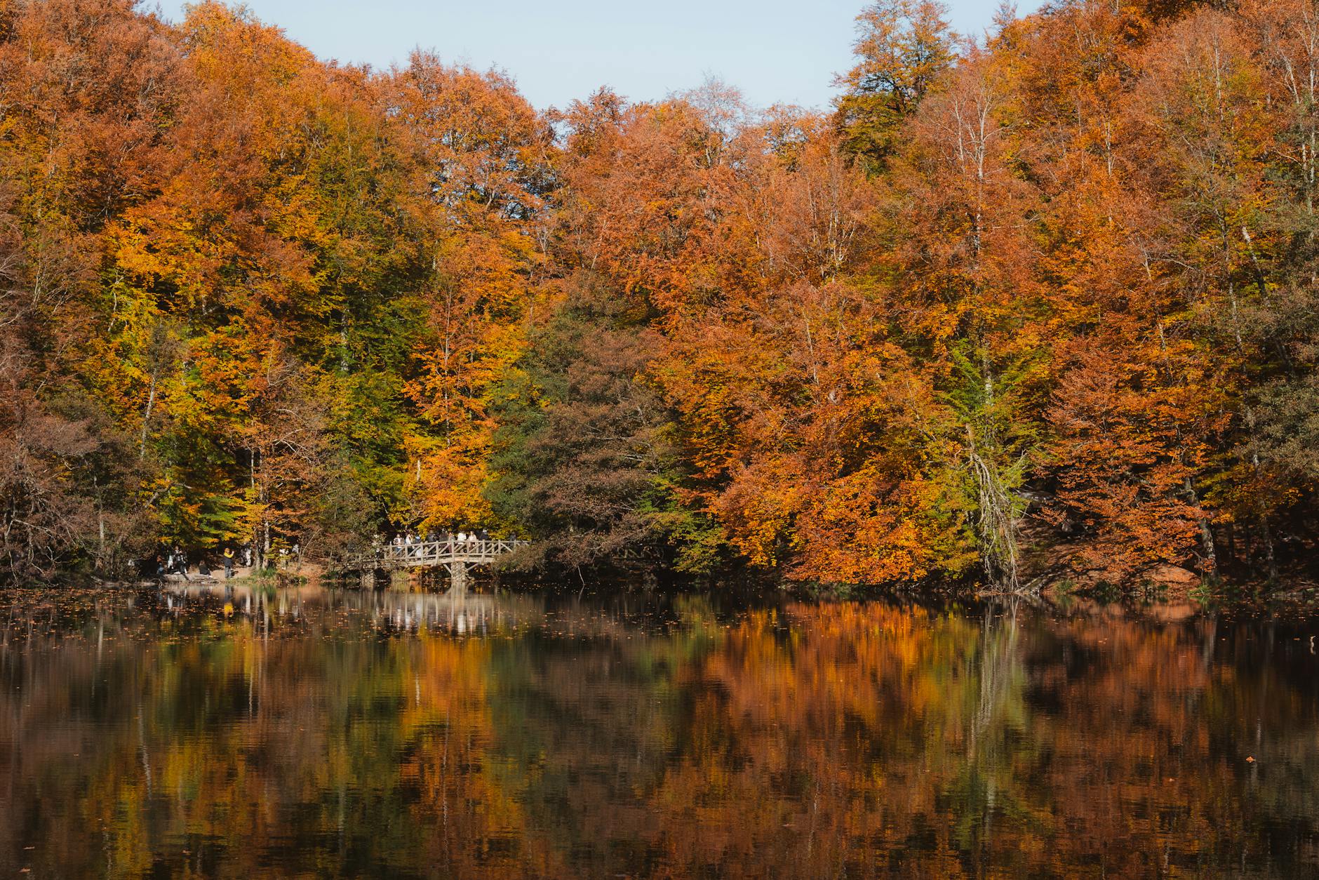 Sapanca Kırkpınar Pictures