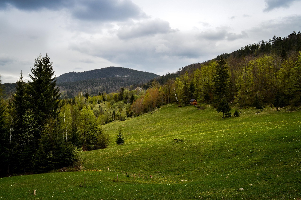 The mountains and rolling country of central Serbia