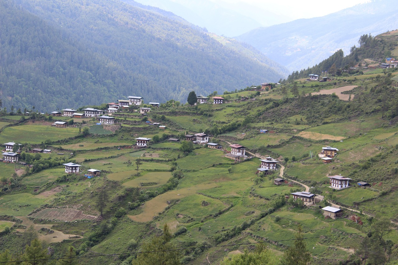 The pristine forests of Bhutan that cover the eastern ranges