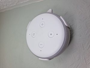 A smart speaker voice assistant