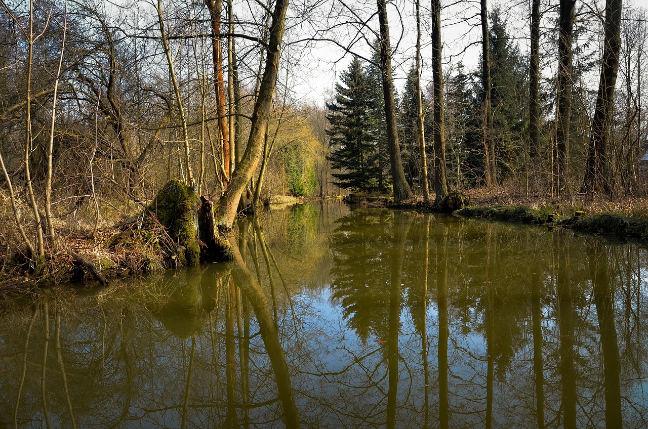 Canals of the Spreewald in Lusatia, a region long inhabited by the Sorbs