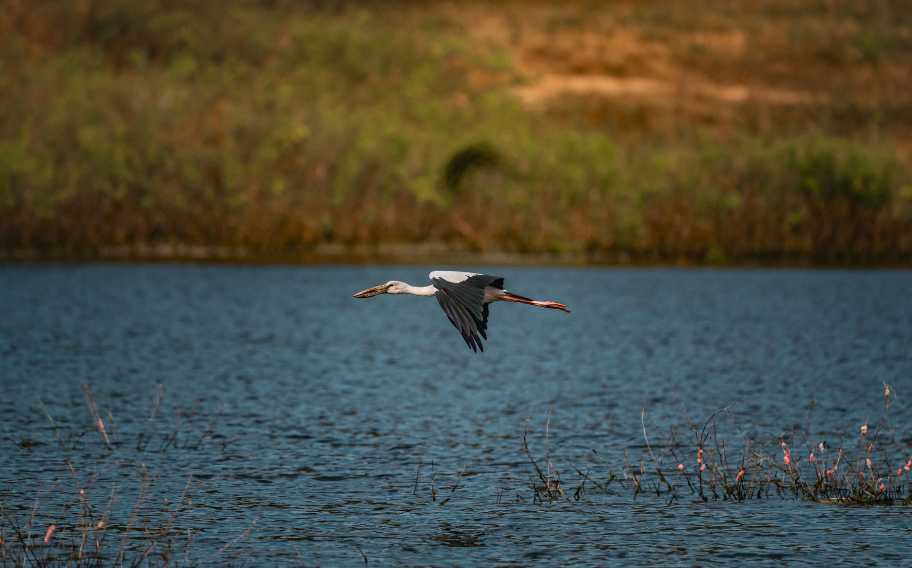 Sulungur Lake Pictures