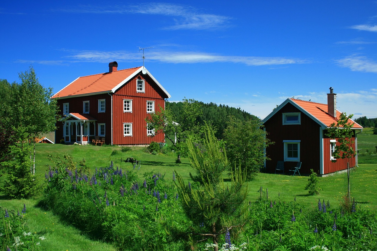A still Swedish lake ringed by forest, the landscape that shapes Swedish life and the love of nature