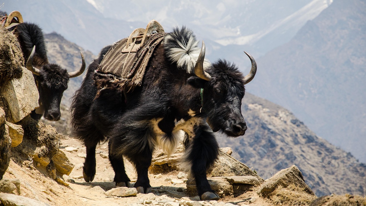 Nepali mountain landscape