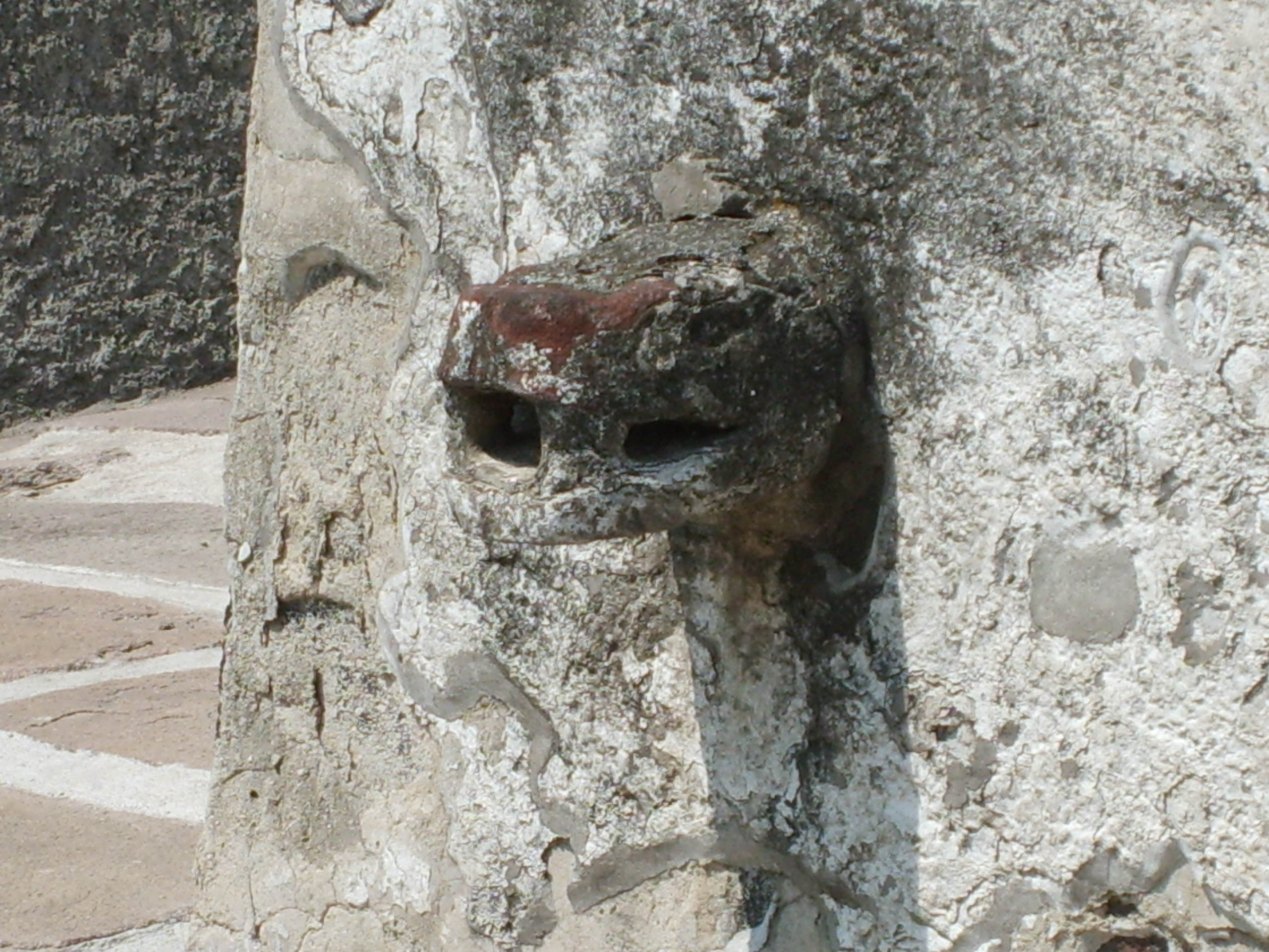Serpent heads at the base of the Templo Mayor