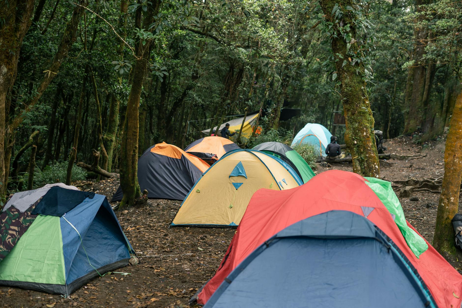 Tent Types and Camping