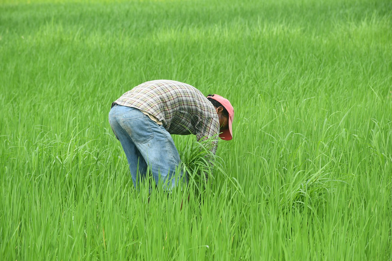 Tharu farmer in the Terai of Nepal