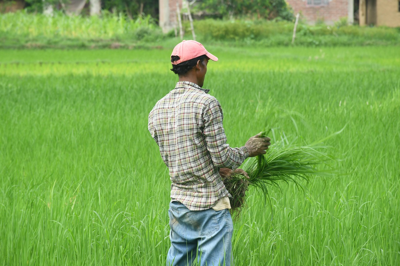 Elderly man of the Nepali lowlands