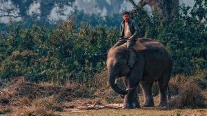 Terai landscape in lowland Nepal