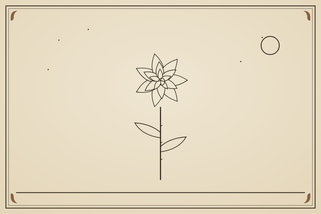The Most Beautiful Rose