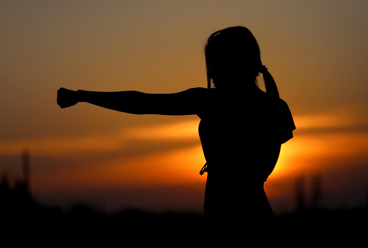 A karate fighter in silhouette at sunset